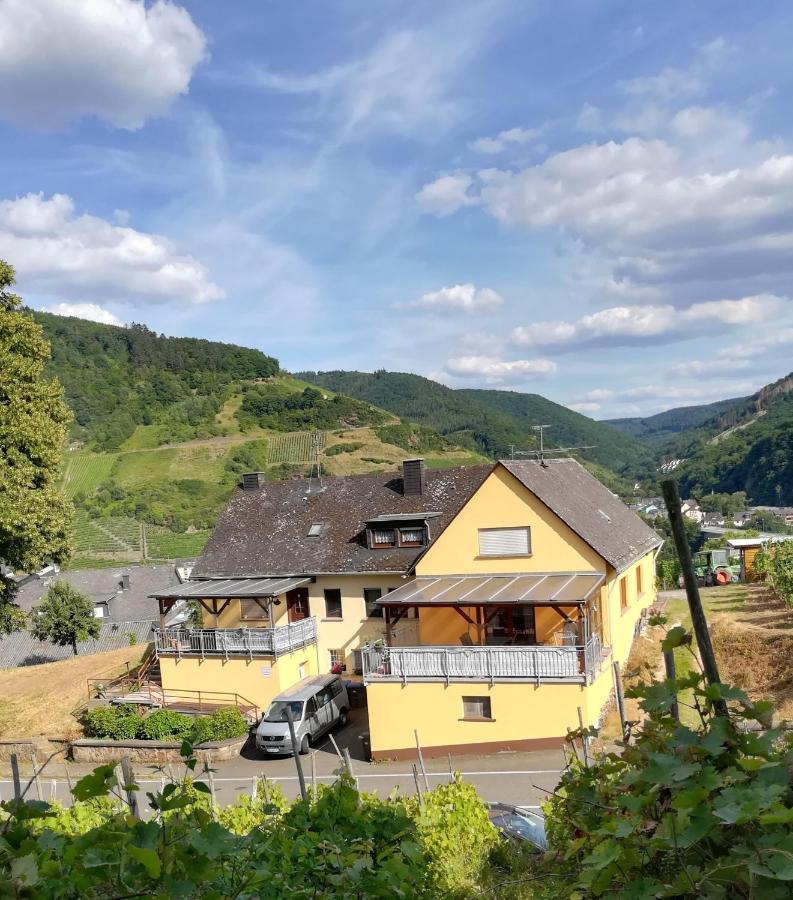 Die Ferienwohnung Lindenhof Zell an der Mosel Exterior foto